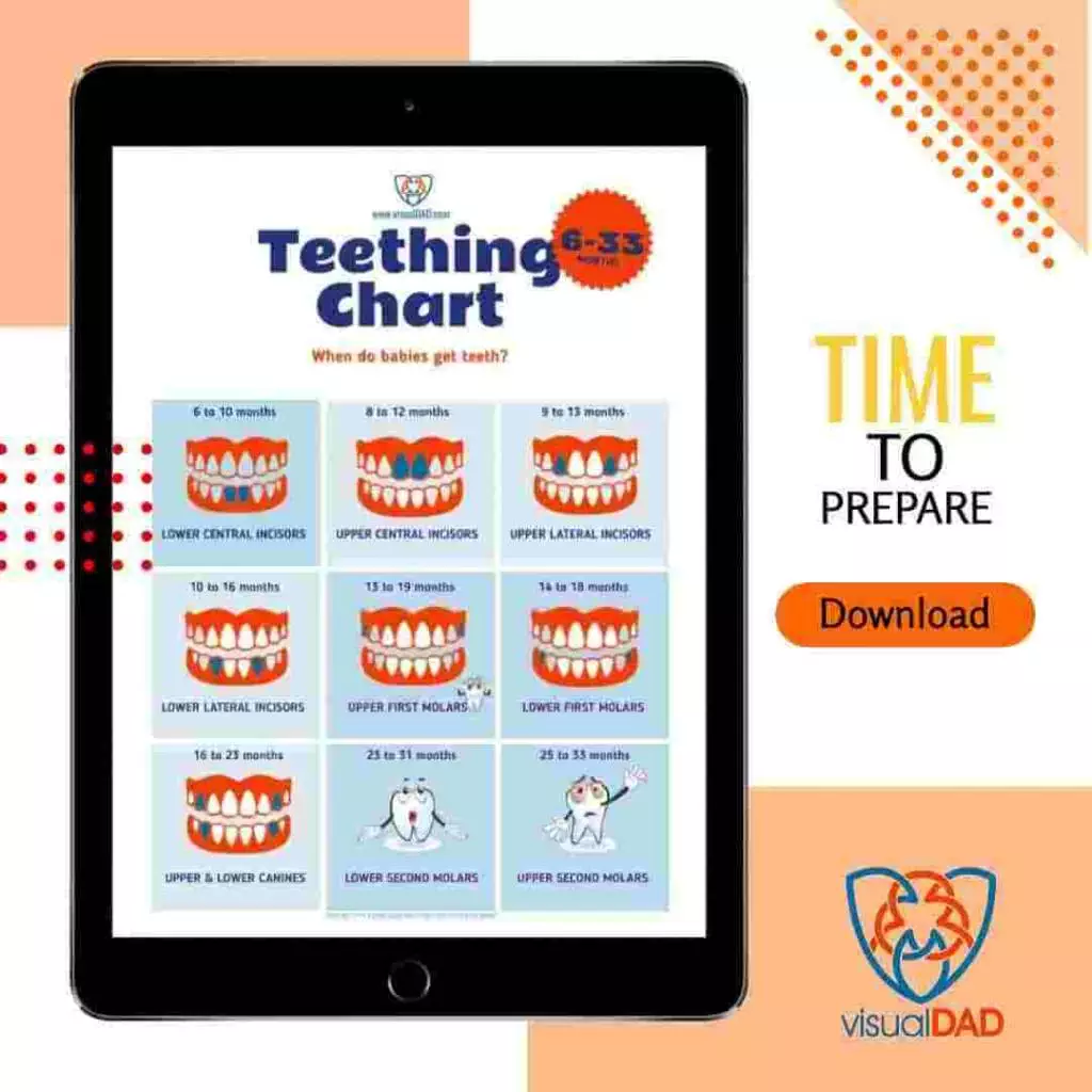 20210808 Teething Chart min